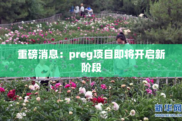 重磅消息：preg项目即将开启新阶段