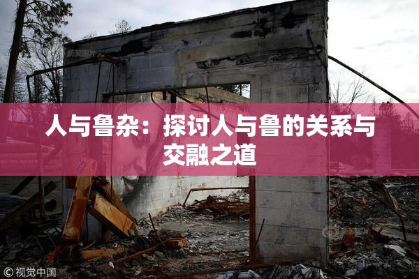 人与鲁杂：探讨人与鲁的关系与交融之道