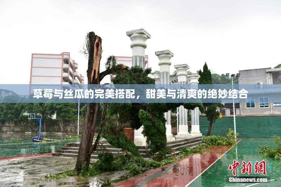 草莓与丝瓜的完美搭配，甜美与清爽的绝妙结合