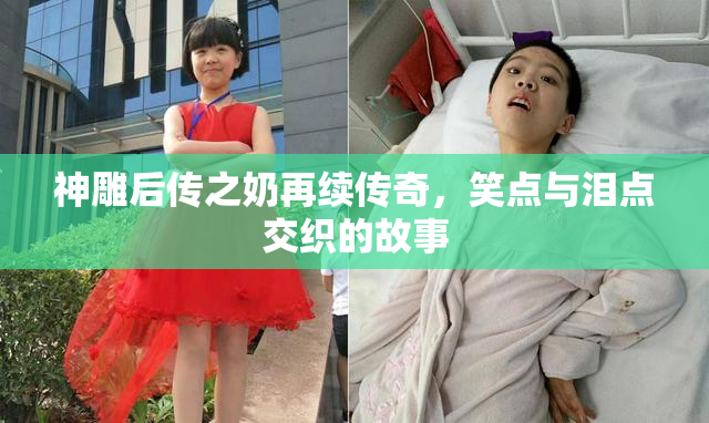 神雕后传之奶再续传奇，笑点与泪点交织的故事