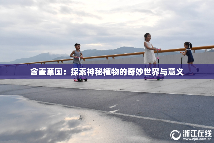 含羞草国：探索神秘植物的奇妙世界与意义