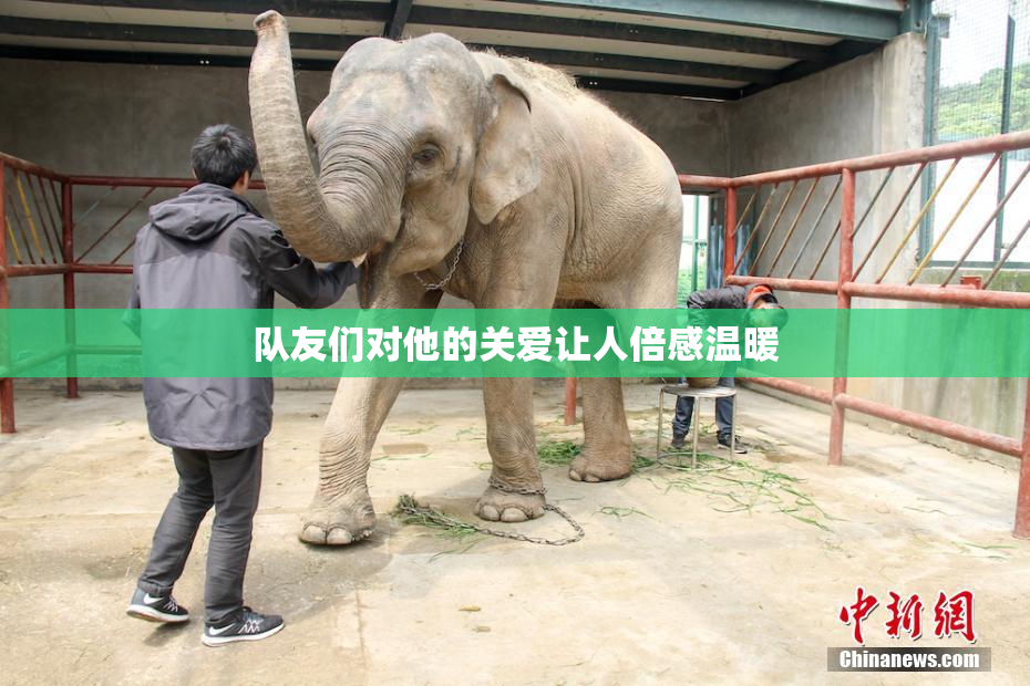 队友们对他的关爱让人倍感温暖