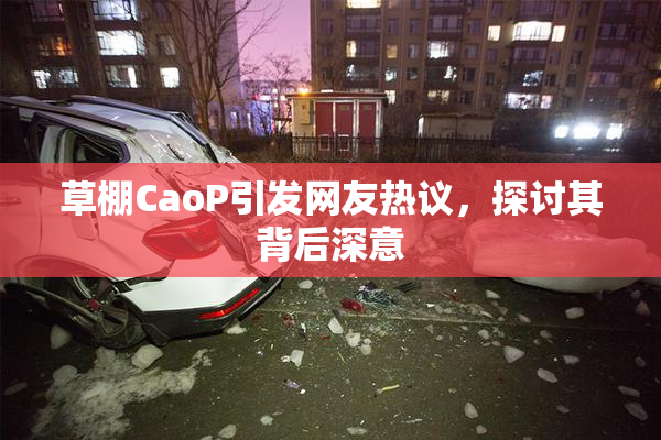 草棚CaoP引发网友热议，探讨其背后深意
