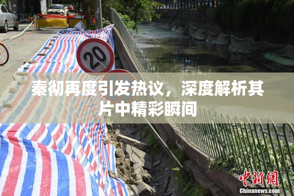 秦彻再度引发热议，深度解析其片中精彩瞬间