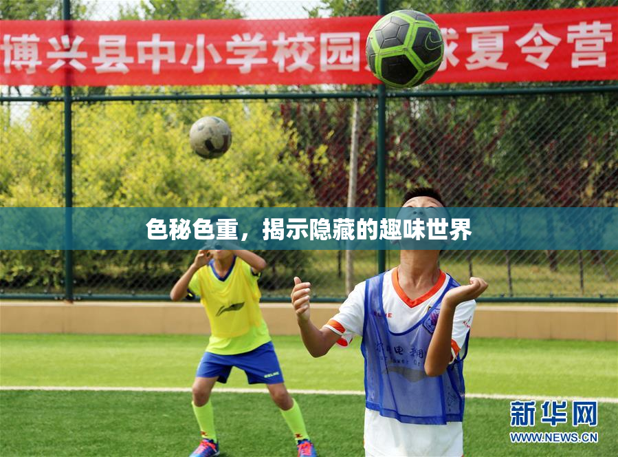 色秘色重，揭示隐藏的趣味世界