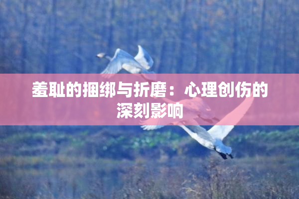 羞耻的捆绑与折磨：心理创伤的深刻影响