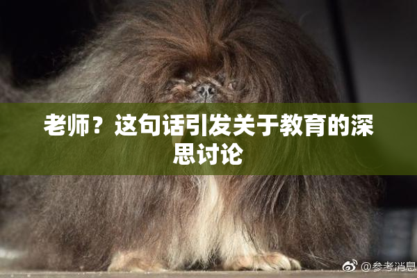 老师？这句话引发关于教育的深思讨论