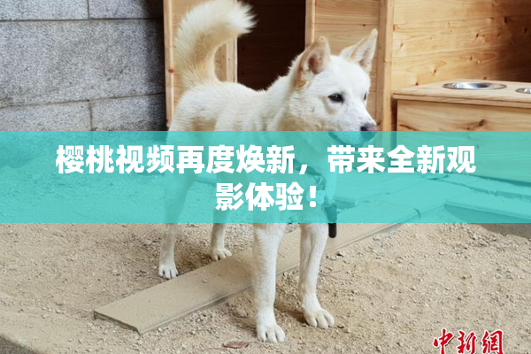 樱桃视频再度焕新，带来全新观影体验！
