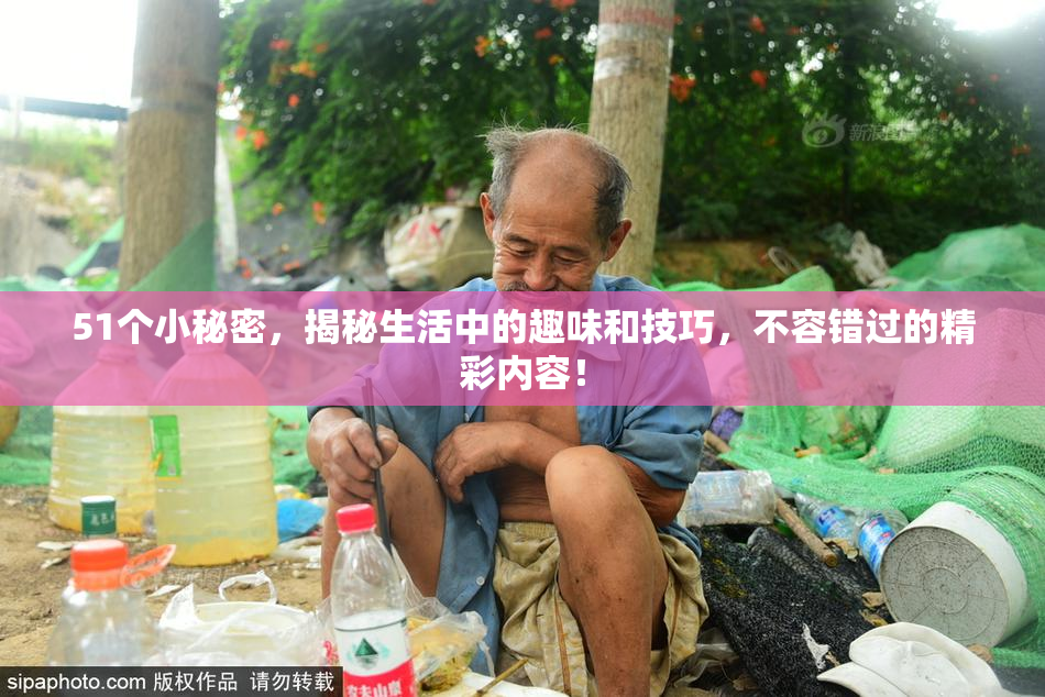 51个小秘密，揭秘生活中的趣味和技巧，不容错过的精彩内容！