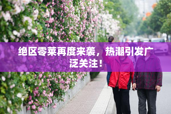 绝区零莱再度来袭，热潮引发广泛关注！
