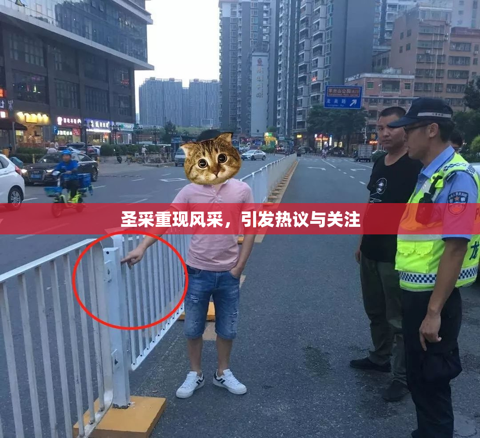 圣采重现风采，引发热议与关注