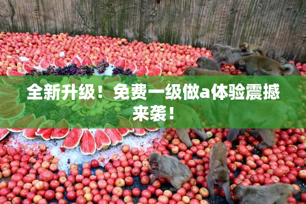 全新升级！免费一级做a体验震撼来袭！