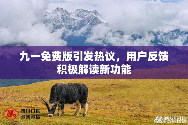 九一免费版引发热议，用户反馈积极解读新功能