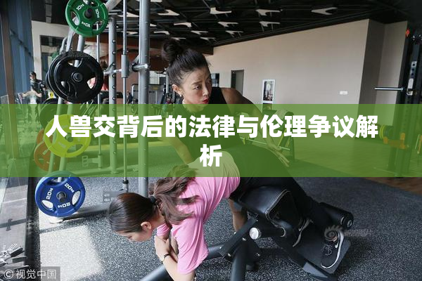 人兽交背后的法律与伦理争议解析