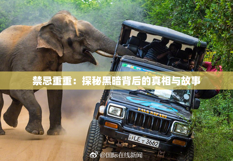 禁忌重重：探秘黑暗背后的真相与故事