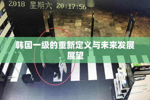 韩国一级的重新定义与未来发展展望