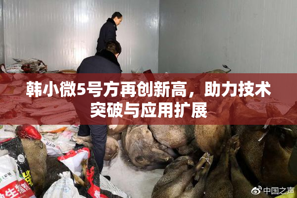 韩小微5号方再创新高，助力技术突破与应用扩展