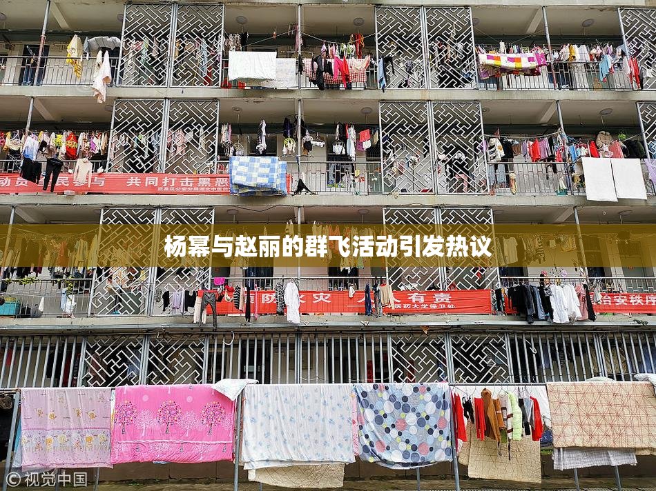 杨幂与赵丽的群飞活动引发热议