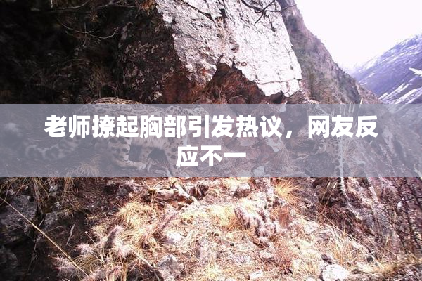 老师撩起胸部引发热议，网友反应不一