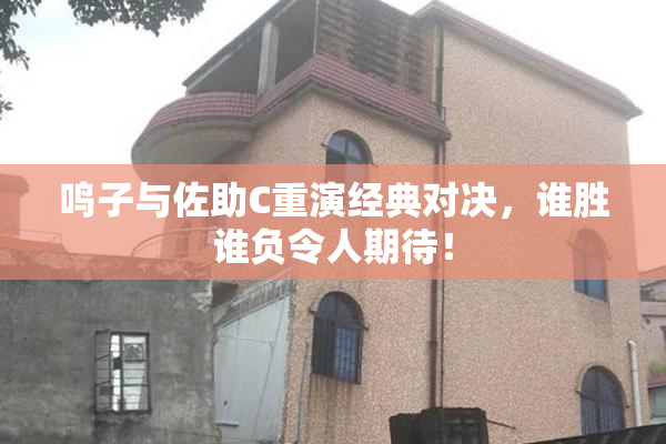 鸣子与佐助C重演经典对决，谁胜谁负令人期待！