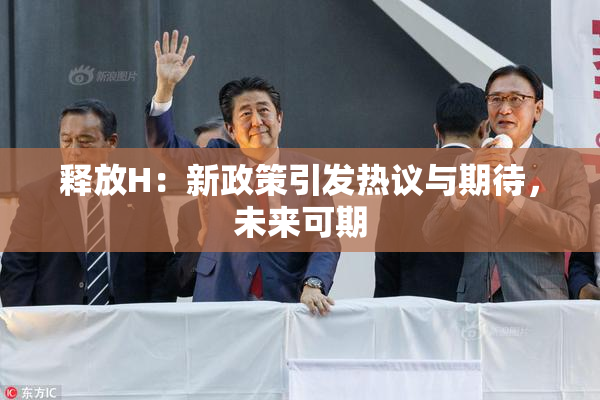 释放H：新政策引发热议与期待，未来可期