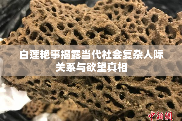 白莲艳事揭露当代社会复杂人际关系与欲望真相