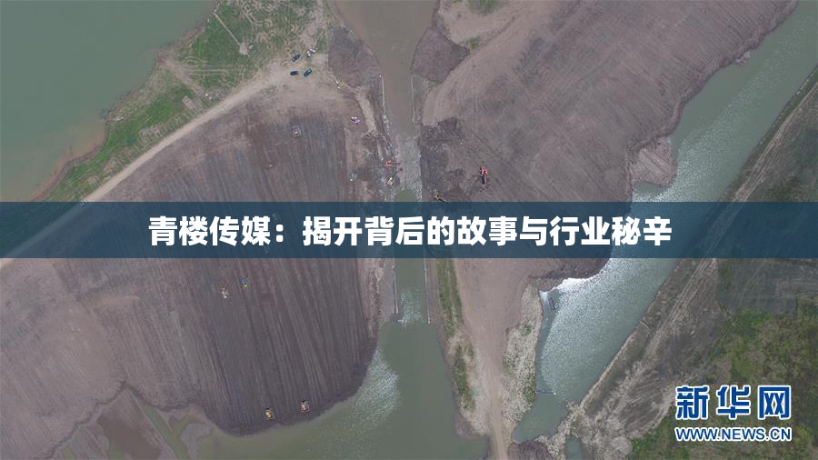 青楼传媒：揭开背后的故事与行业秘辛