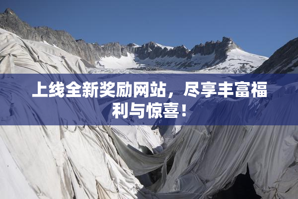 上线全新奖励网站，尽享丰富福利与惊喜！