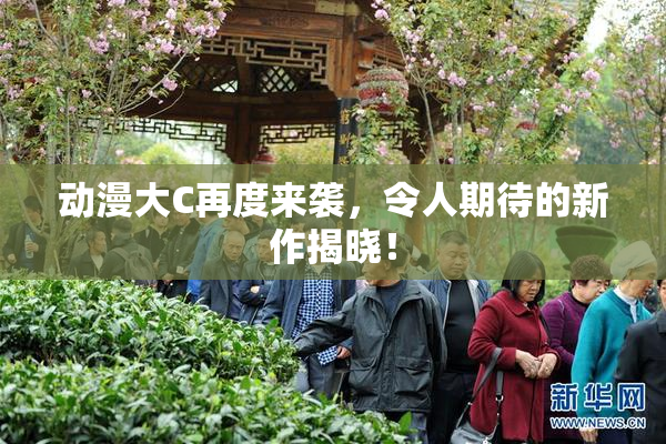 动漫大C再度来袭，令人期待的新作揭晓！