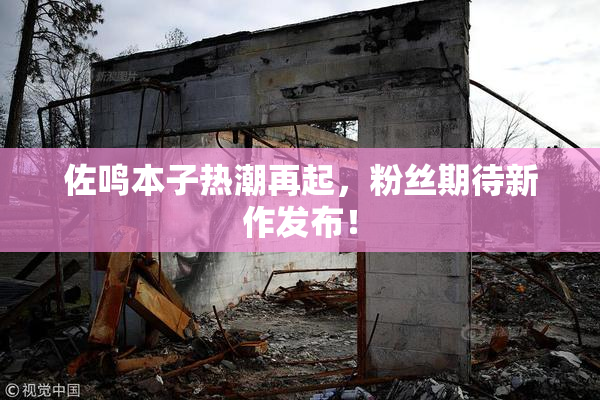 佐鸣本子热潮再起，粉丝期待新作发布！
