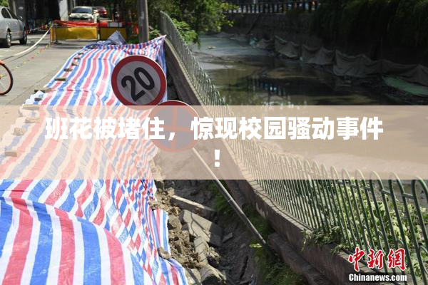 班花被堵住，惊现校园骚动事件！