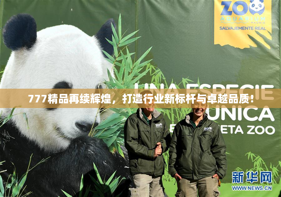 777精品再续辉煌，打造行业新标杆与卓越品质！