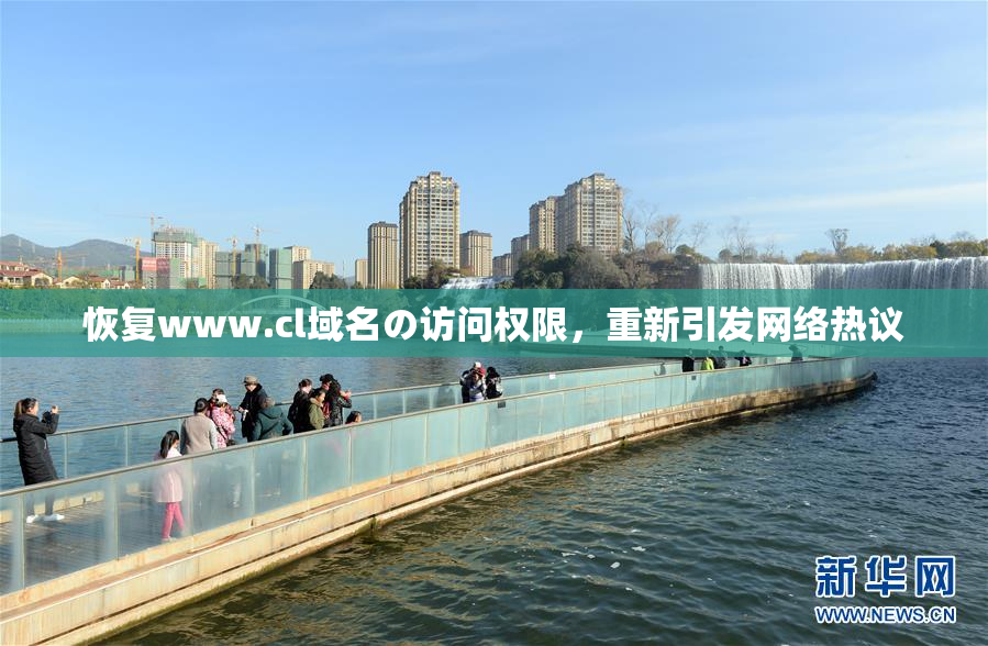 恢复www.cl域名の访问权限，重新引发网络热议