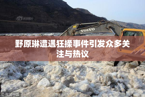 野原琳遭遇狂揉事件引发众多关注与热议