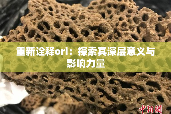 重新诠释ori：探索其深层意义与影响力量