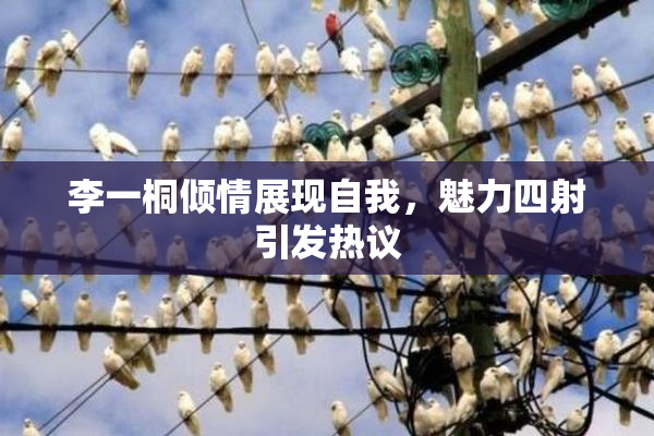 李一桐倾情展现自我，魅力四射引发热议