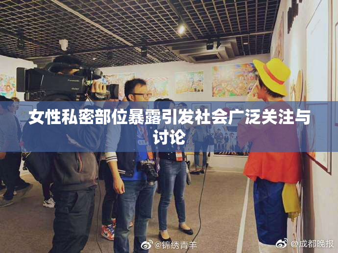 女性私密部位暴露引发社会广泛关注与讨论