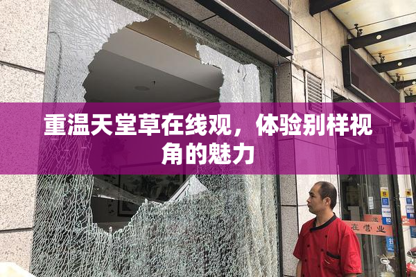 重温天堂草在线观，体验别样视角的魅力