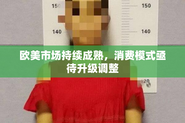 欧美市场持续成熟，消费模式亟待升级调整