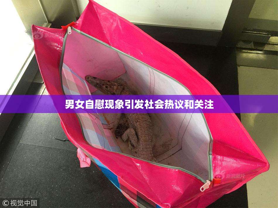 男女自慰现象引发社会热议和关注