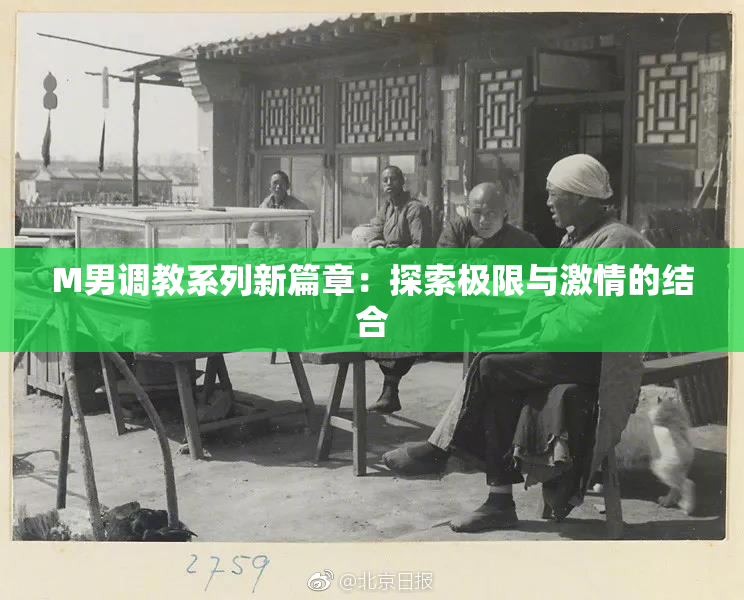 M男调教系列新篇章：探索极限与激情的结合