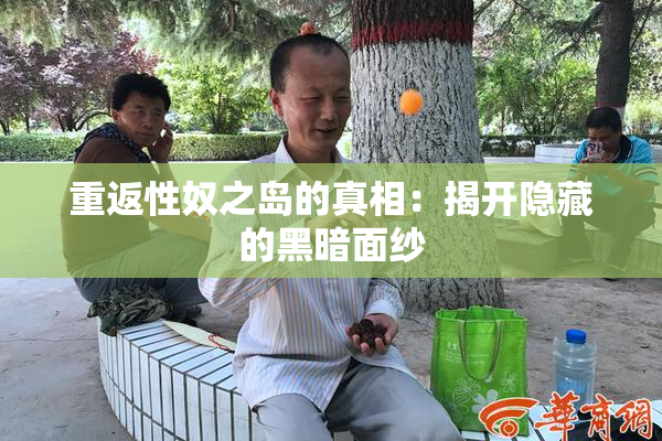 重返性奴之岛的真相：揭开隐藏的黑暗面纱