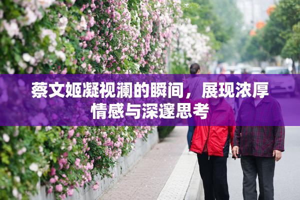 蔡文姬凝视澜的瞬间，展现浓厚情感与深邃思考