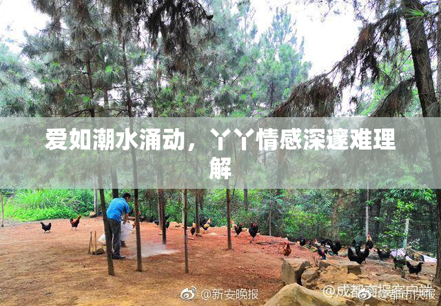 爱如潮水涌动，丫丫情感深邃难理解