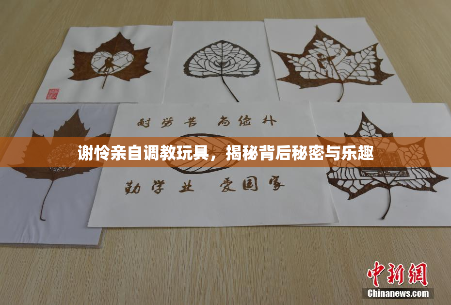 谢怜亲自调教玩具，揭秘背后秘密与乐趣