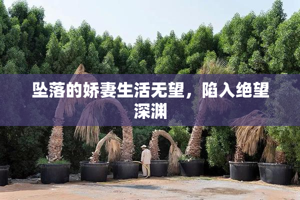 坠落的娇妻生活无望，陷入绝望深渊