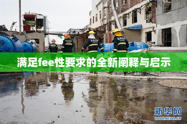 满足fee性要求的全新阐释与启示