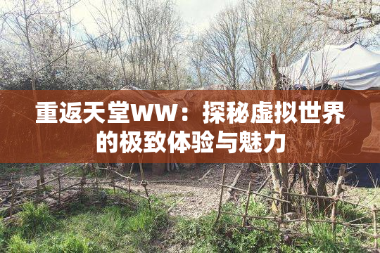 重返天堂WW：探秘虚拟世界的极致体验与魅力