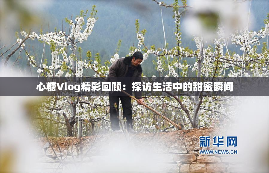 心糖Vlog精彩回顾：探访生活中的甜蜜瞬间