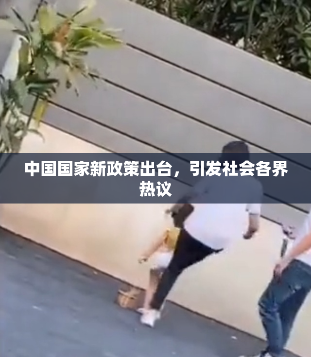 中国国家新政策出台，引发社会各界热议